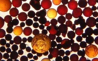 Deodorizing Resin Composition Containing Iron (II) Compound