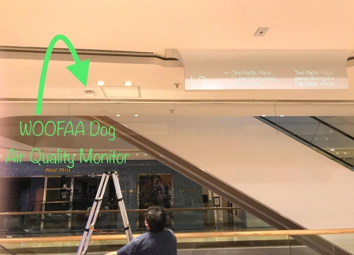 WOOFAA Air Pacific Place Mall Swire Properties