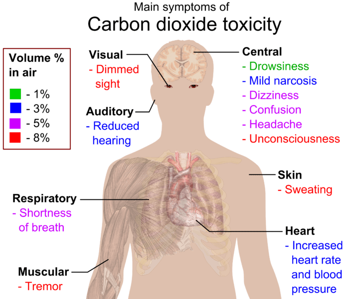 Main symptons of carbon dioxide toxicity: visual, respiratory, skin, heart, muscular, auditory and central