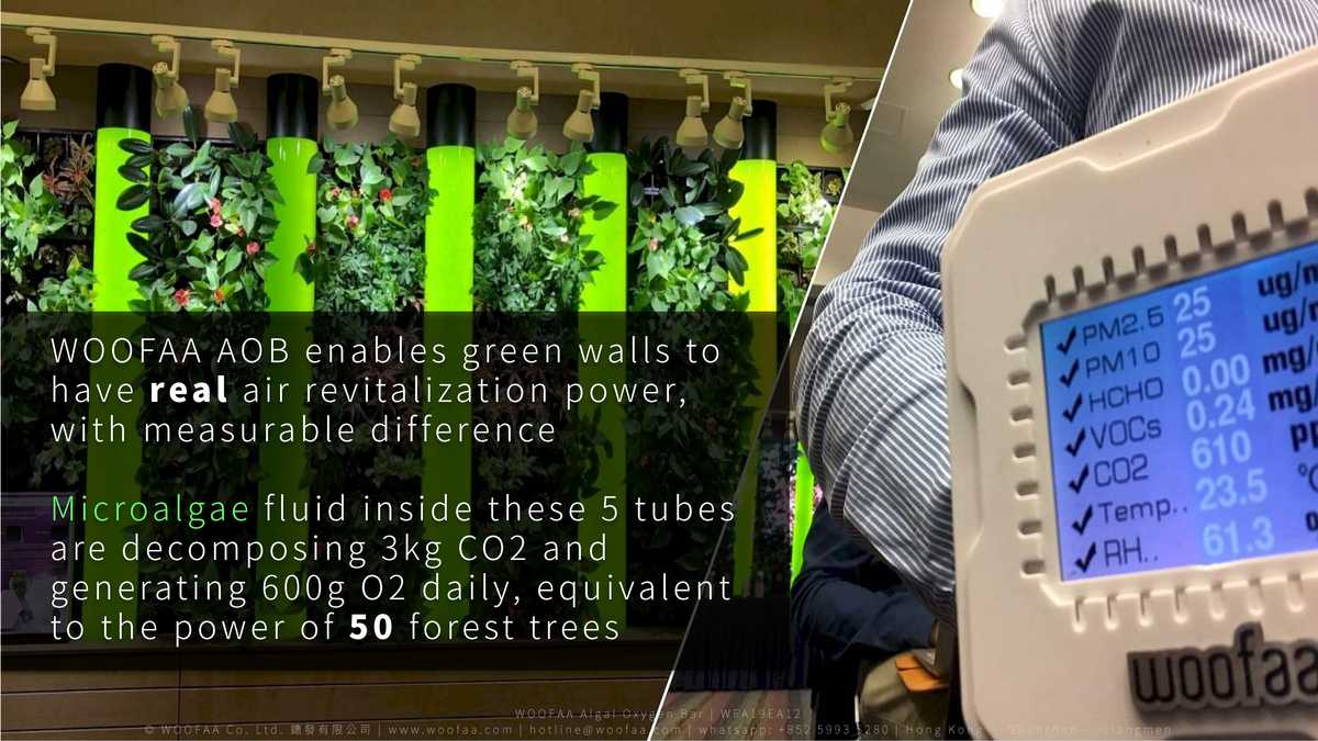 Algal Oxygen Bar. Smart appliance with NASA tech to revitalize ambient air you breathe