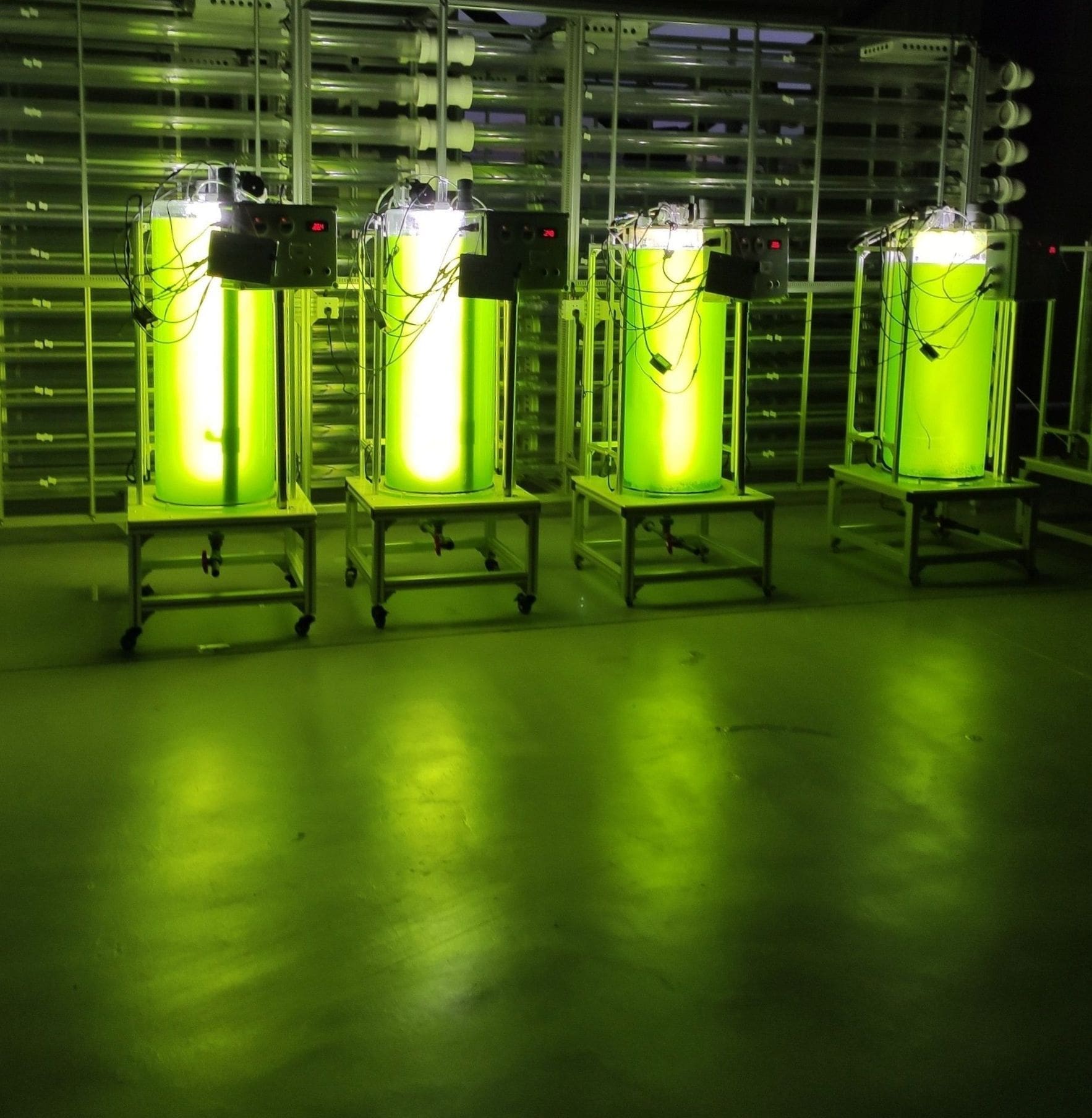 Microalgae Photobioreactor for Biology STEM Education or Home Cultivation of Fresh Water Microalgae